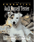 The Essential Jack Russell Terrier