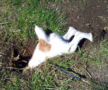 Excuse me, I'm a little behind. - Click to view the results of contest 345!