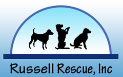 Russell Rescue, Inc.