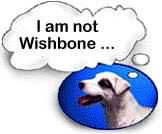 Jack Russells are not like Wishbone