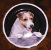 China Plate is $25.00