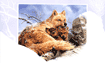 Family Warmth Christmas Card Set is $17.50