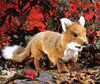 Fox Hand Puppet is $34.00