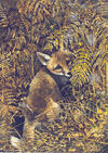Fox in Bush Note Card is $7.50