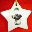 JRT Star Christmas Ornament is $10.00