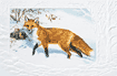 Out Foxed Christmas Cards is $17.50