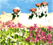 Peering Puppies Print is $10.00