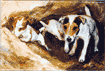 JRT Playing Cards is $6.50
