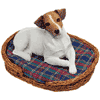 Jack Russell at Rest Figurine is $50.00