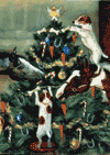 'Tis the Season Christmas Cards is $15.00
