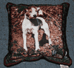 Working JRT Pillow is $30.00