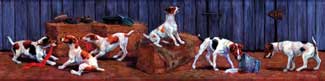 Jack Russell Wallpaper Border